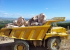 dumper Perlini 366